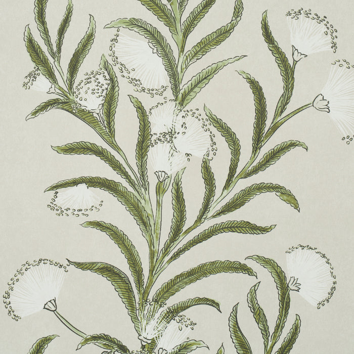 Schumacher Tasmanian Mimosa Ivory & Green Wallpaper Sample 5015362