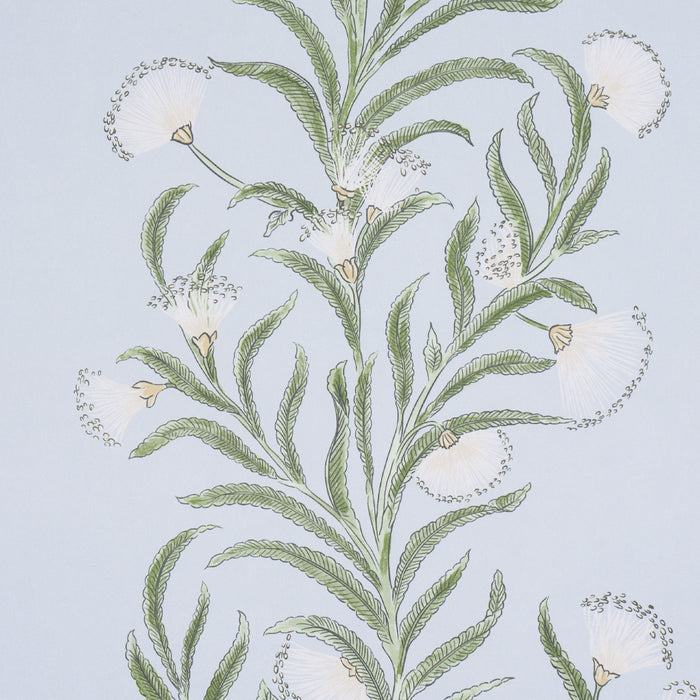 Schumacher Tasmanian Mimosa Sky Wallpaper Sample 5015363