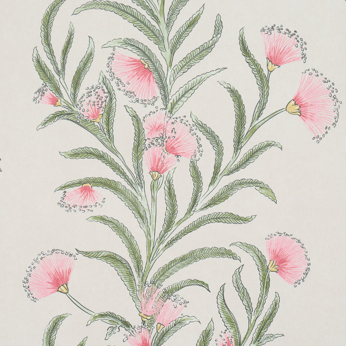 Schumacher Tasmanian Mimosa Petal Wallpaper 5015364