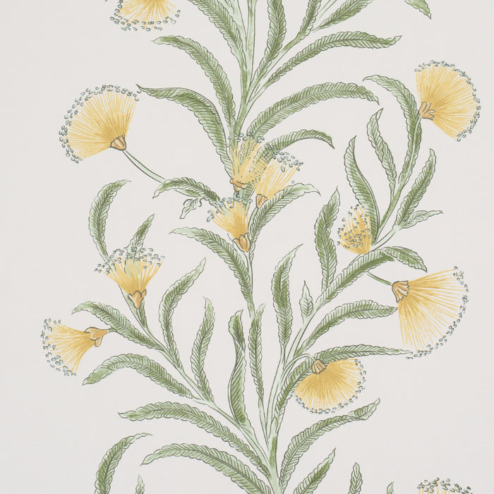 Schumacher Tasmanian Mimosa Marigold Wallpaper 5015365