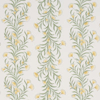 Schumacher Tasmanian Mimosa Marigold Wallpaper 5015365