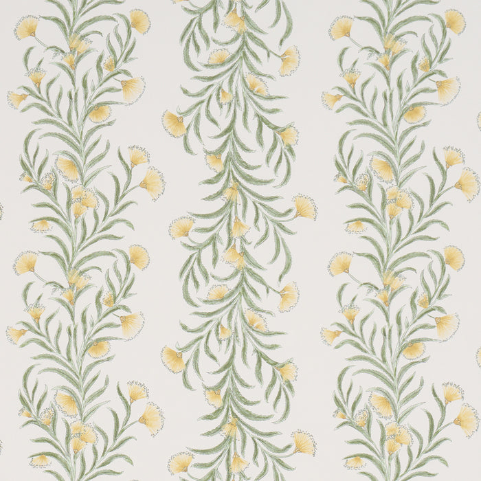 Schumacher Tasmanian Mimosa Marigold Wallpaper Sample 5015365
