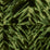 Schumacher Tortoise Shell Amazon Wallpaper Sample 5015371