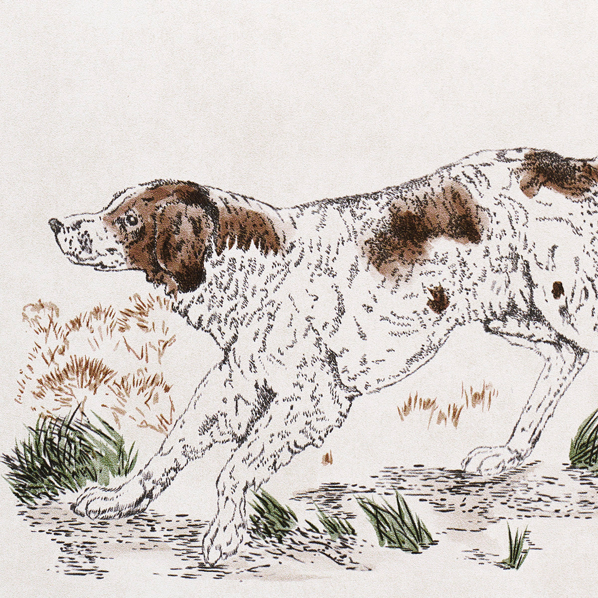 Schumacher Chaser's Legacy Slate Wallpaper Sample 5016080