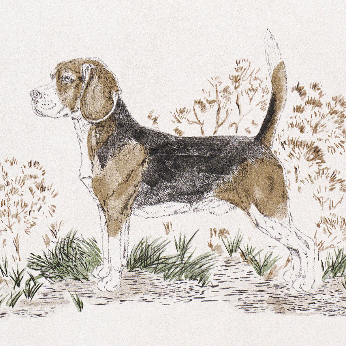 Schumacher Chaser's Legacy Bark Wallpaper 5016081