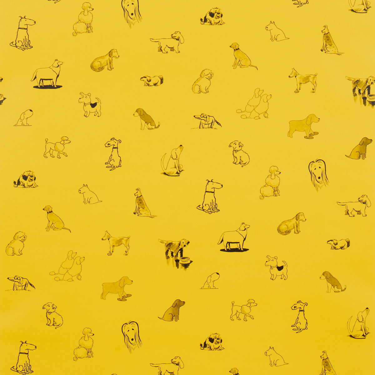Schumacher Good Dogs Everywhere Taxi-Cab Yellow Wallpaper Sample 5016131