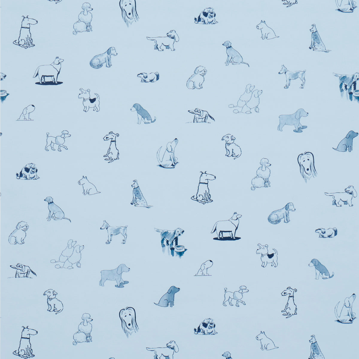 Schumacher Good Dogs Everywhere Sky & Navy Blue Wallpaper Sample 5016132