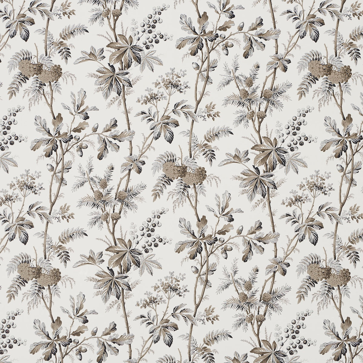 Schumacher Brantwood Vine Graphite Wallpaper Sample 5016352