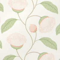 Schumacher Celinda Blush Wallpaper 5016360