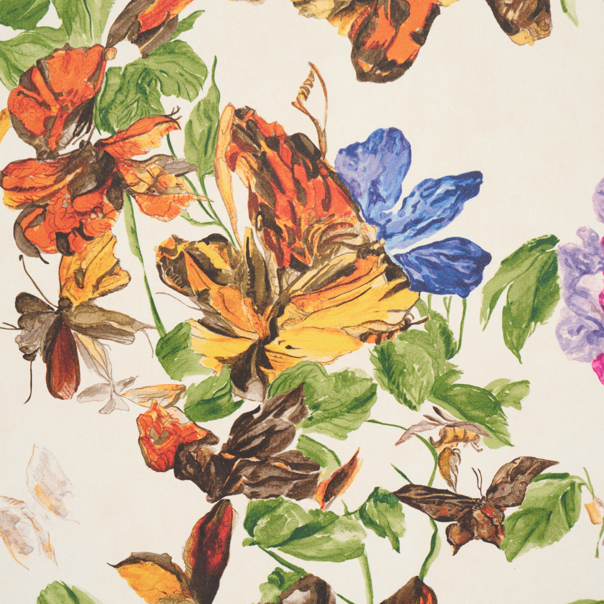 Schumacher Pyne Butterfly Monarch Orange Wallpaper Sample 5016380
