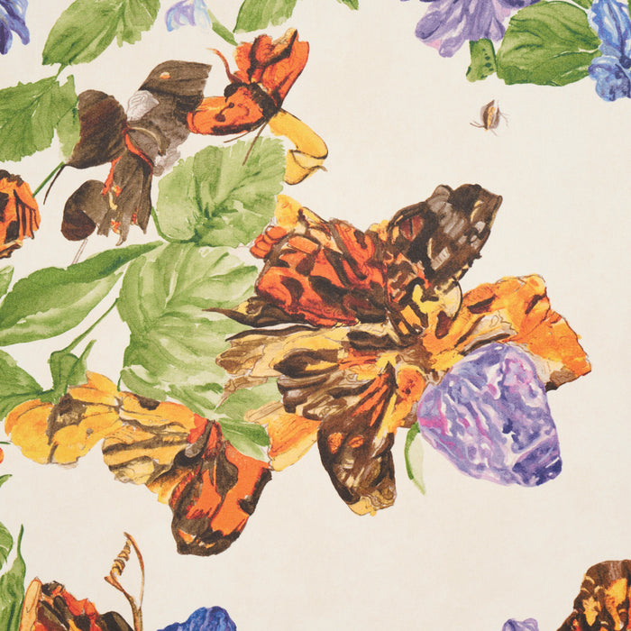 Schumacher Pyne Butterfly Monarch Orange Wallpaper Sample 5016380
