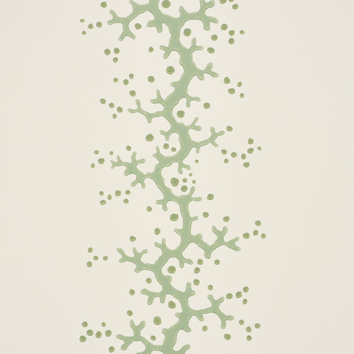 Schumacher Coral Stripe Green Wallpaper Sample 5016452