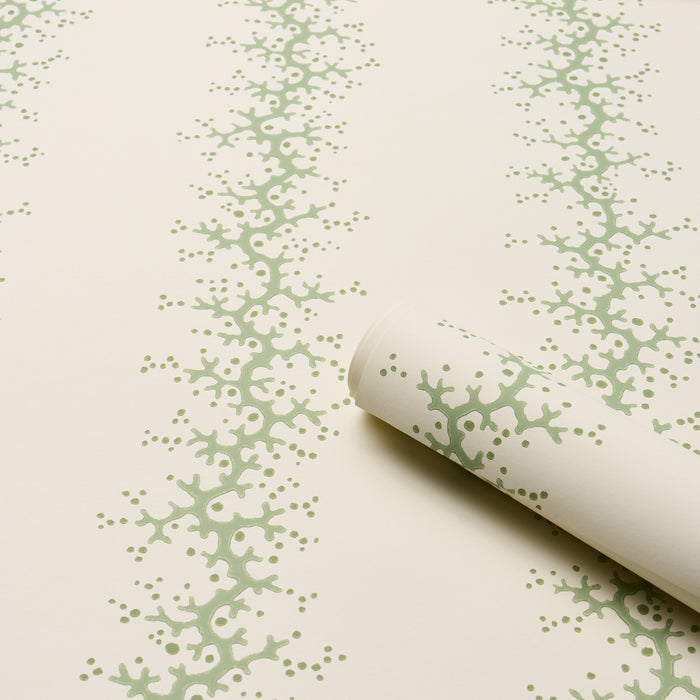 Schumacher Coral Stripe Green Wallpaper Sample 5016452