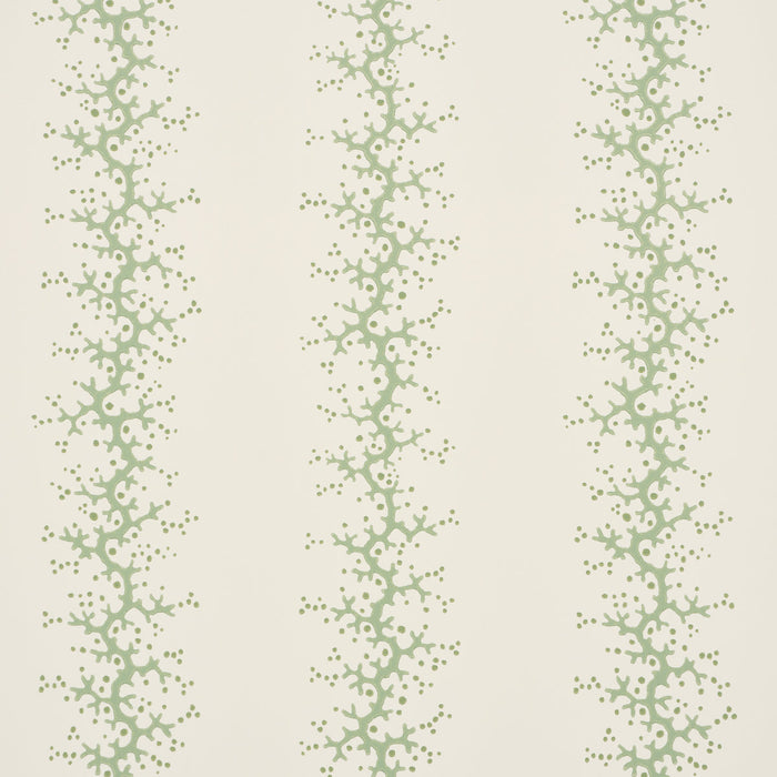 Schumacher Coral Stripe Green Wallpaper Sample 5016452