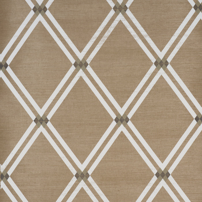 Schumacher Asolo Sisal Sepia Wallpaper Sample 5016541