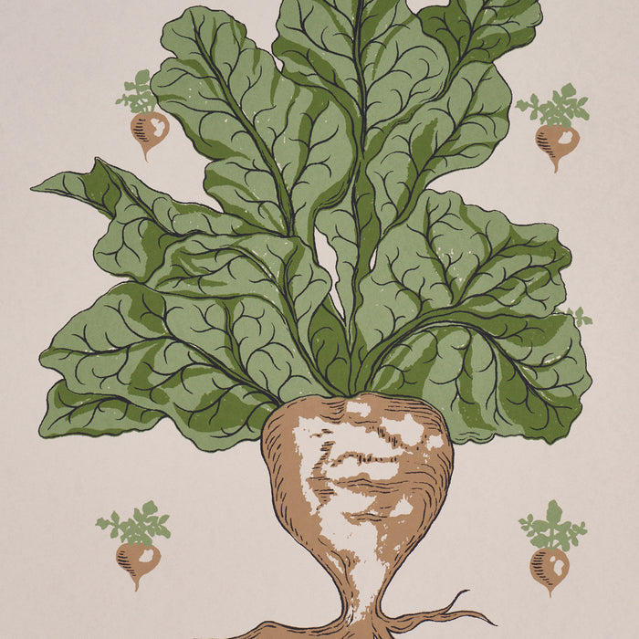 Schumacher Green Grocer Parchment Wallpaper Sample 5016781