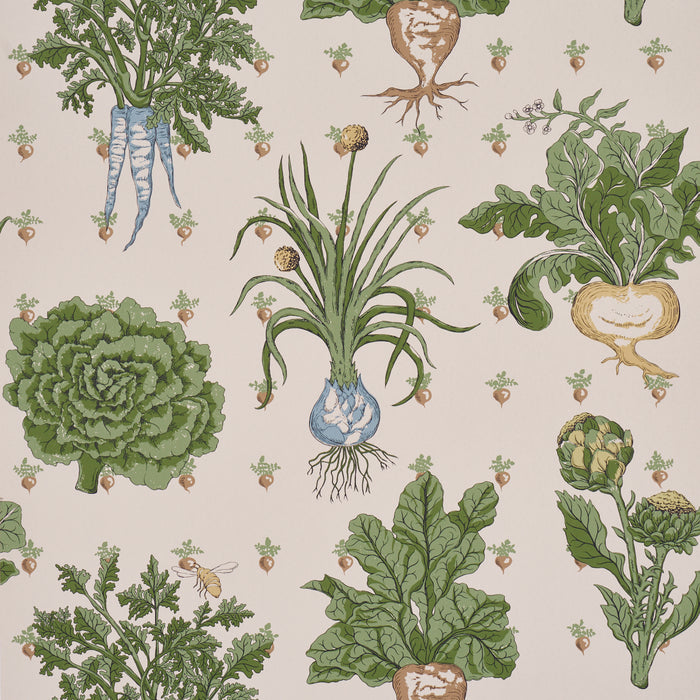Schumacher Green Grocer Parchment Wallpaper Sample 5016781