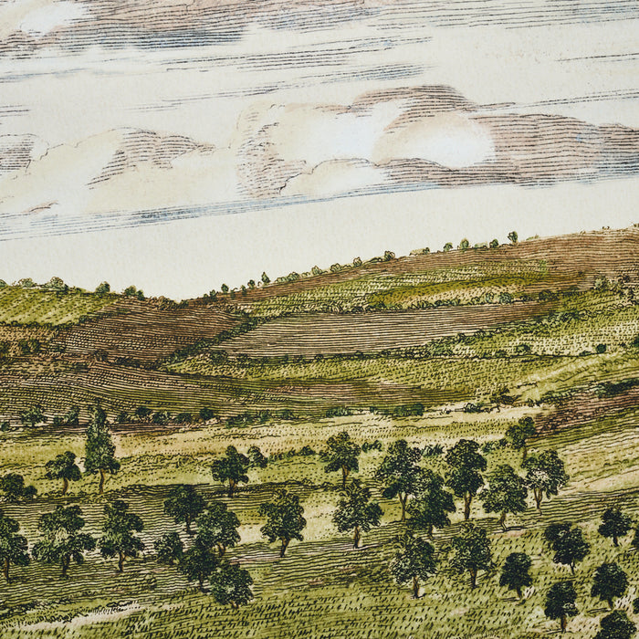 Schumacher Mr. Darcy 3 Panel Set Pemberley Green Wallpaper Sample 5016810