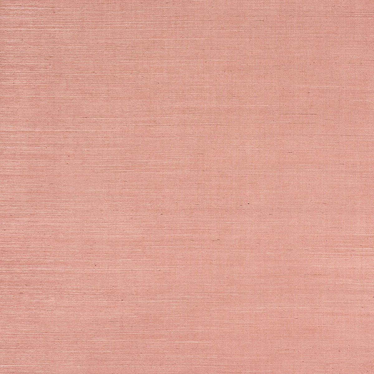 Schumacher Haruki Sisal 36 Hours In Marrakesh Wallpaper Schumacher 5016850