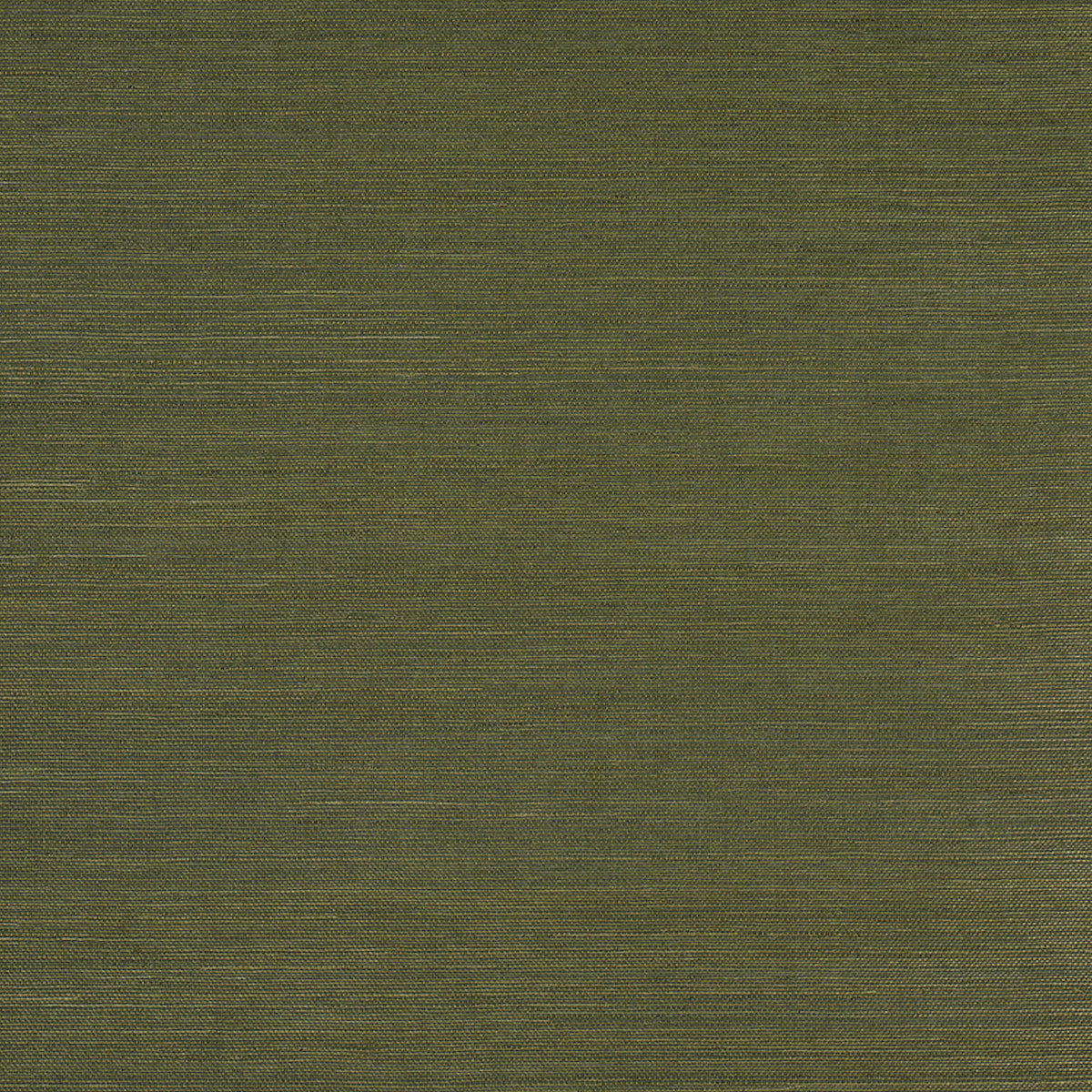 Schumacher Haruki Sisal Night On Earth Wallpaper Sample 5016853