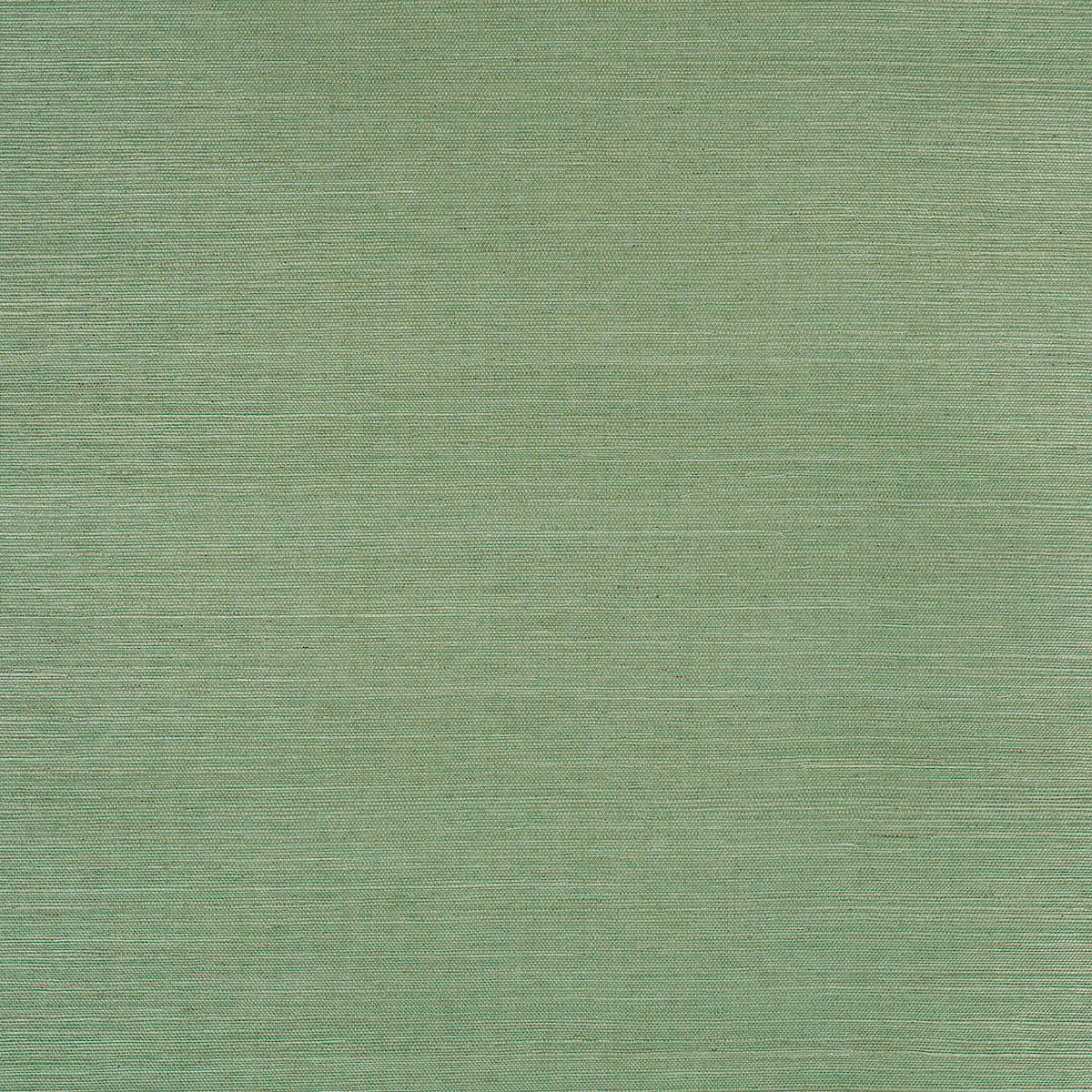 Schumacher Haruki Sisal Drive-Thru Safari Wallpaper Sample 5016854