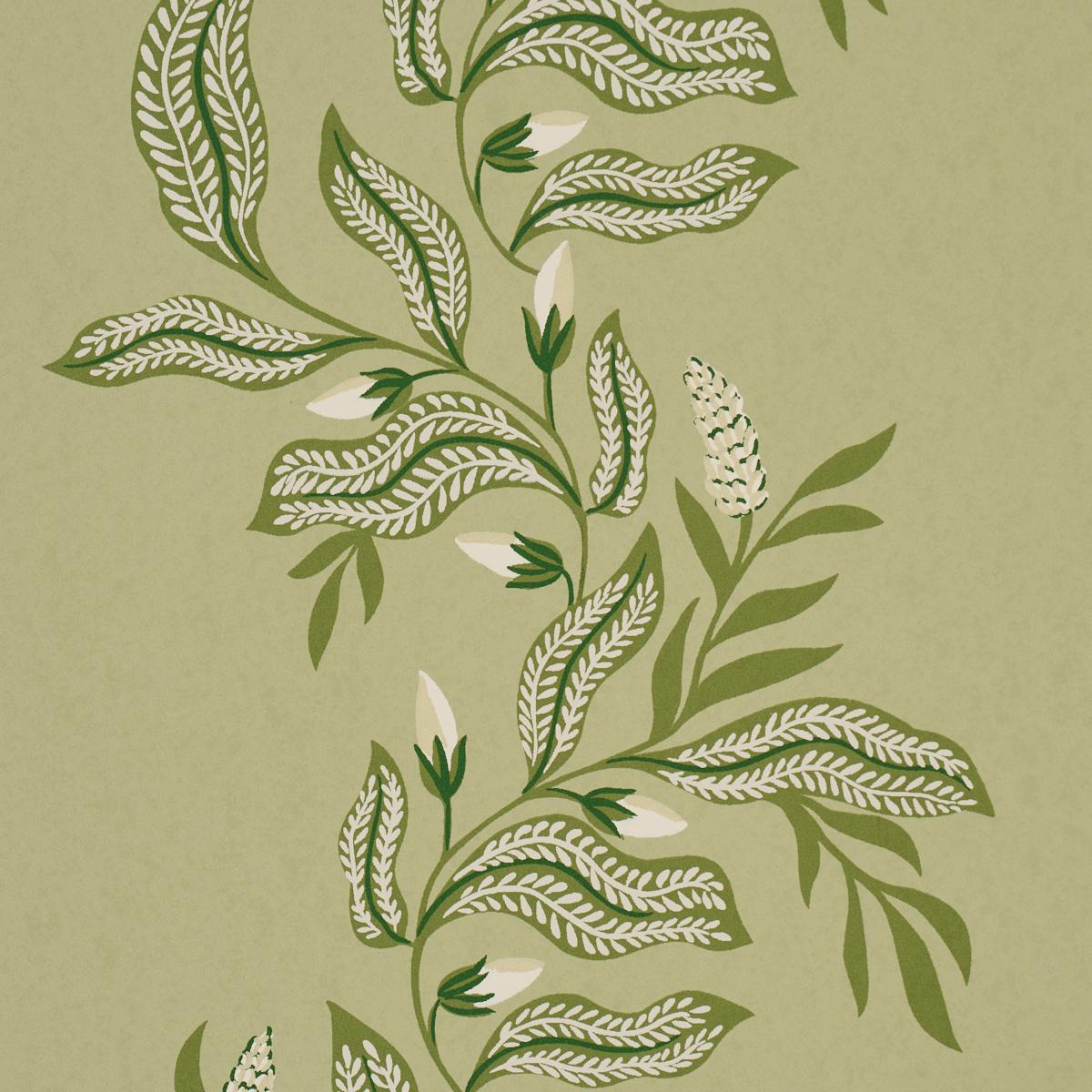Schumacher Vagary Vines Honeydew Wallpaper 5016970