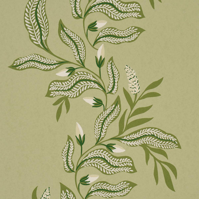 Schumacher Vagary Vines Honeydew Wallpaper 5016970