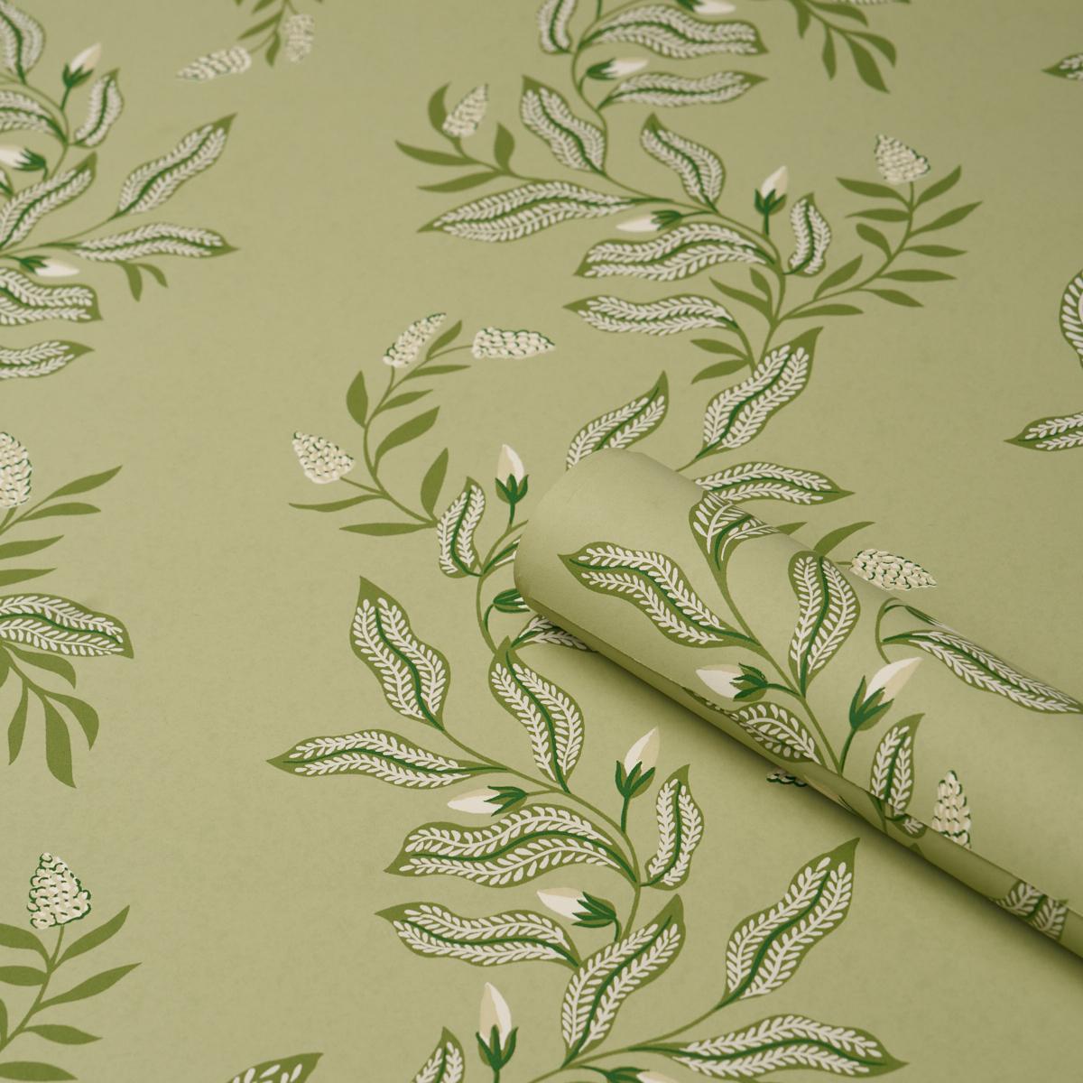 Schumacher Vagary Vines Honeydew Wallpaper 5016970