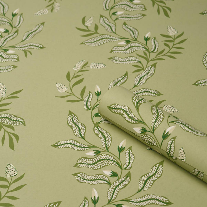 Schumacher Vagary Vines Honeydew Wallpaper 5016970
