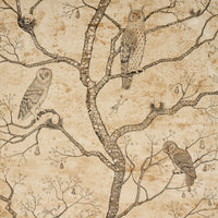 Schumacher L'Attesa Nella Notte Parchment Wallpaper 5017090
