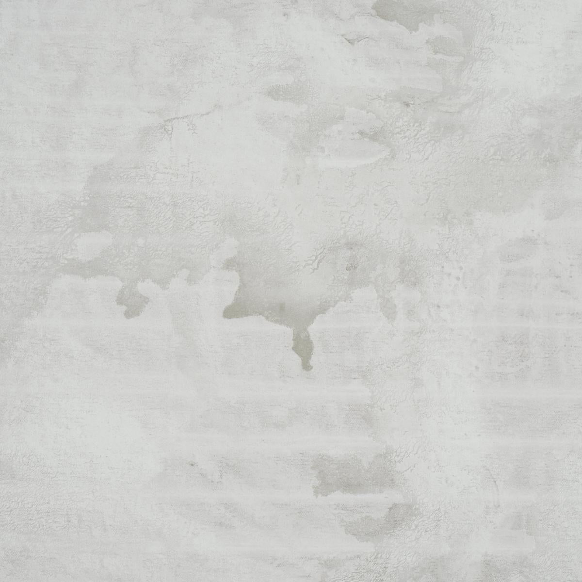 Schumacher Valiant Dove Wallpaper 5017152