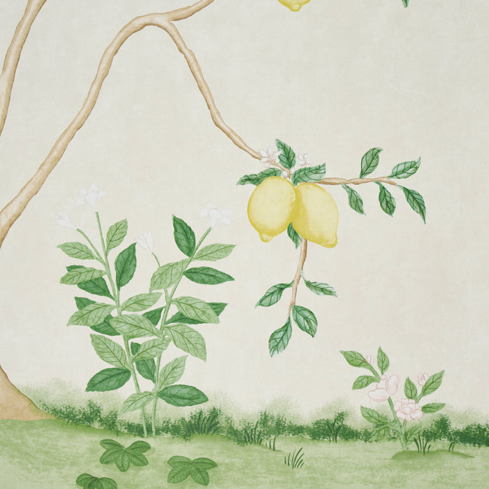Schumacher Citrus Blossom 2 Panel Set Cream Wallpaper Sample 5017160