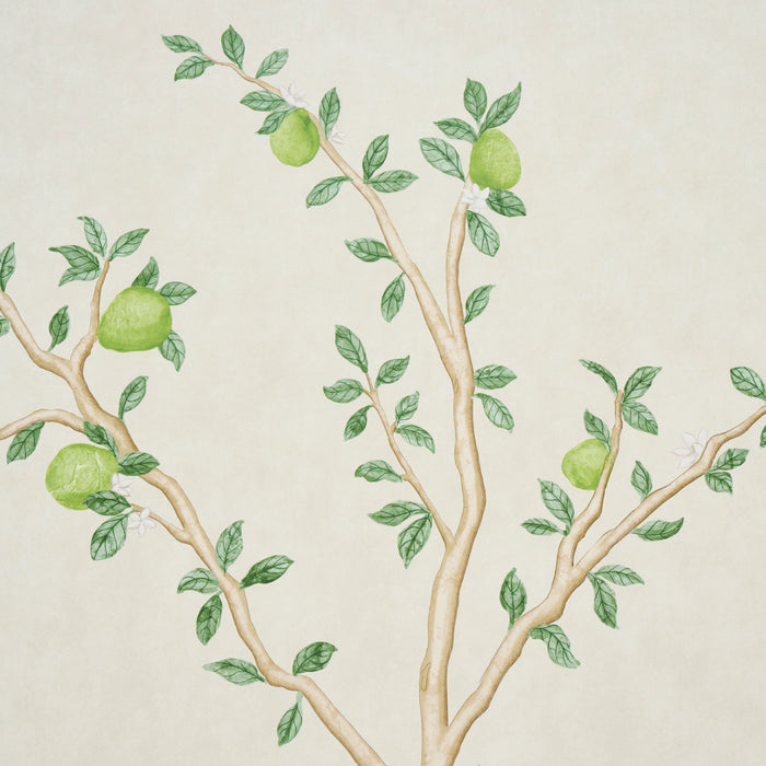 Schumacher Citrus Blossom 2 Panel Set Cream Wallpaper Sample 5017160