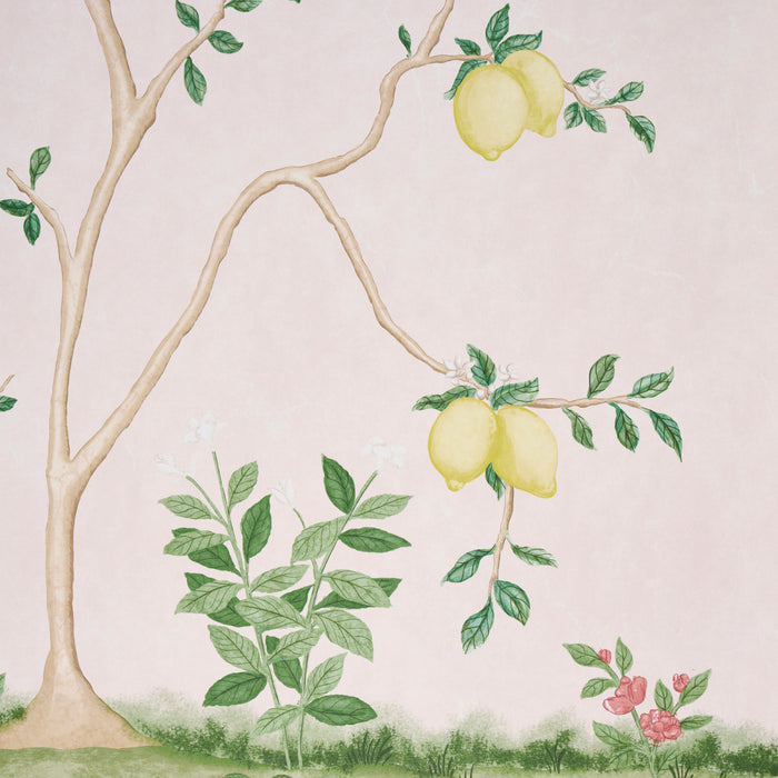 Schumacher Citrus Blossom 2 Panel Set Blush Wallpaper Sample 5017161