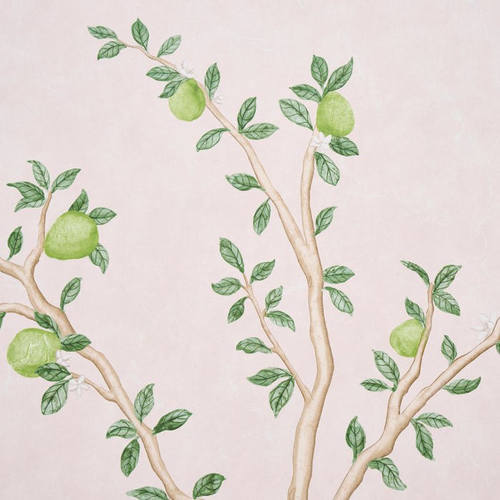 Schumacher Citrus Blossom 2 Panel Set Blush Wallpaper Sample 5017161