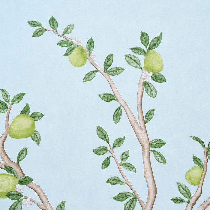 Schumacher Citrus Blossom 2 Panel Set Sky Wallpaper Sample 5017162