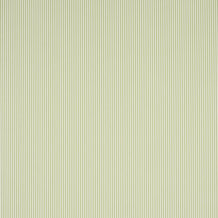 Schumacher Emma Stripe Narrow Leaf Wallpaper 5017193