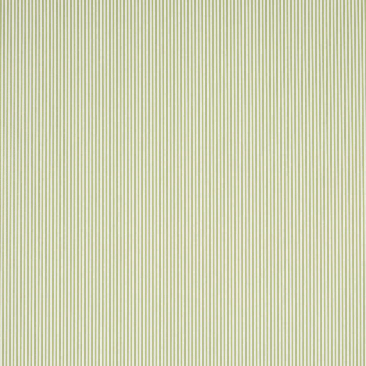 Schumacher Emma Stripe Narrow Leaf Wallpaper Sample 5017193