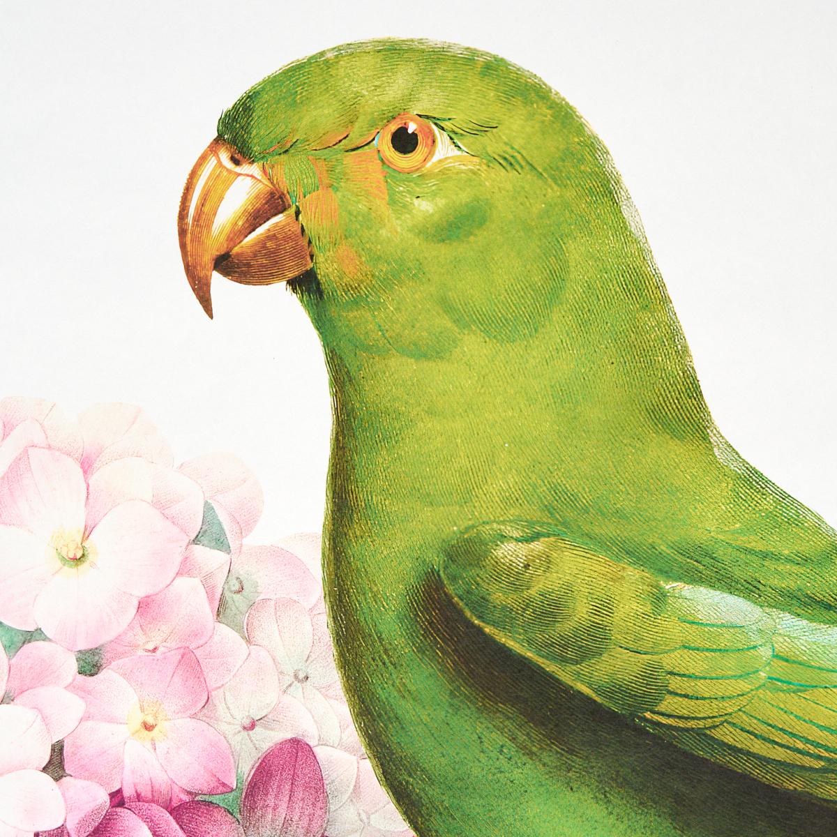 Schumacher Flores Paradisi Panel Set Rose & Peony Wallpaper Sample 5017560