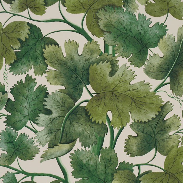 Schumacher Edinburgh Vine Moss Wallpaper Sample 5017730