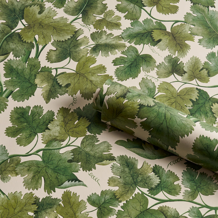 Schumacher Edinburgh Vine Moss Wallpaper Sample 5017730