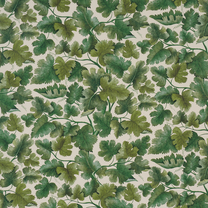 Schumacher Edinburgh Vine Moss Wallpaper Sample 5017730