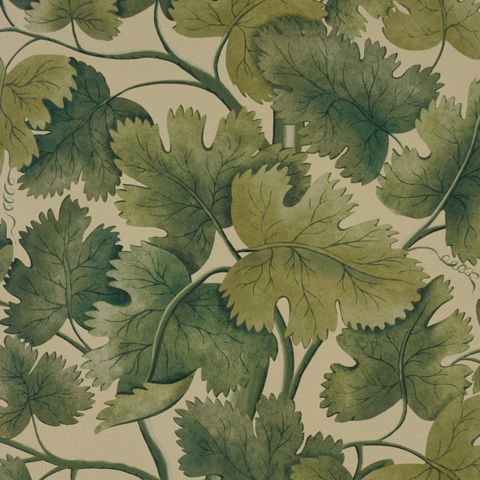Schumacher Edinburgh Vine Forest Wallpaper Sample 5017731