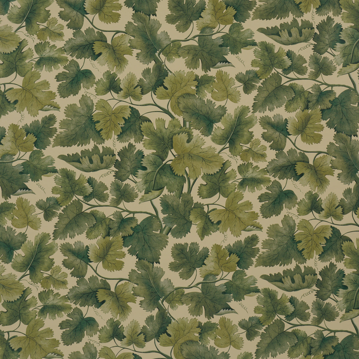 Schumacher Edinburgh Vine Forest 5017730 Sample | 40% Off (Samples)