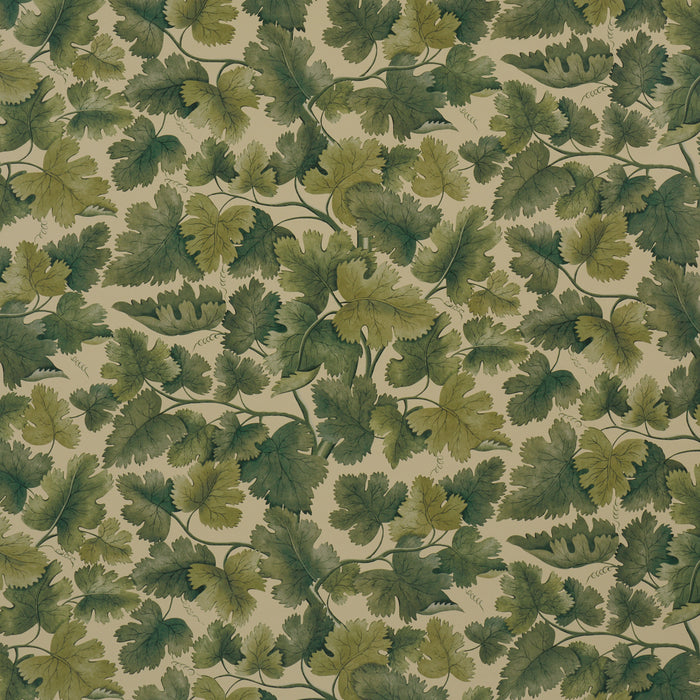 Schumacher Edinburgh Vine Forest Wallpaper Sample 5017731