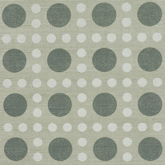Schumacher X Backdrop Puntini Sisal Seaglass Wallpaper Sample 5017871