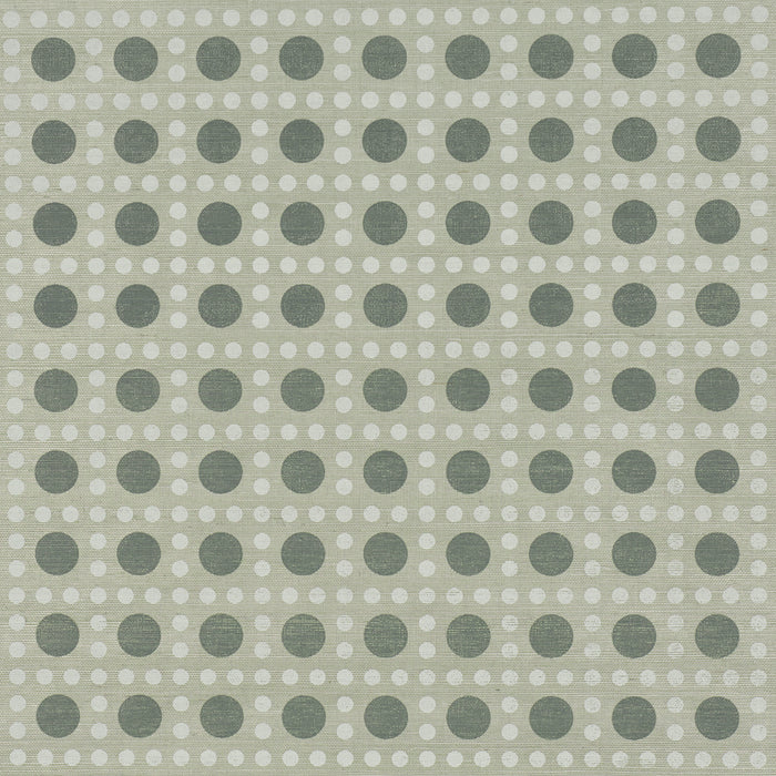 Schumacher X Backdrop Puntini Sisal Seaglass Wallpaper Sample 5017871