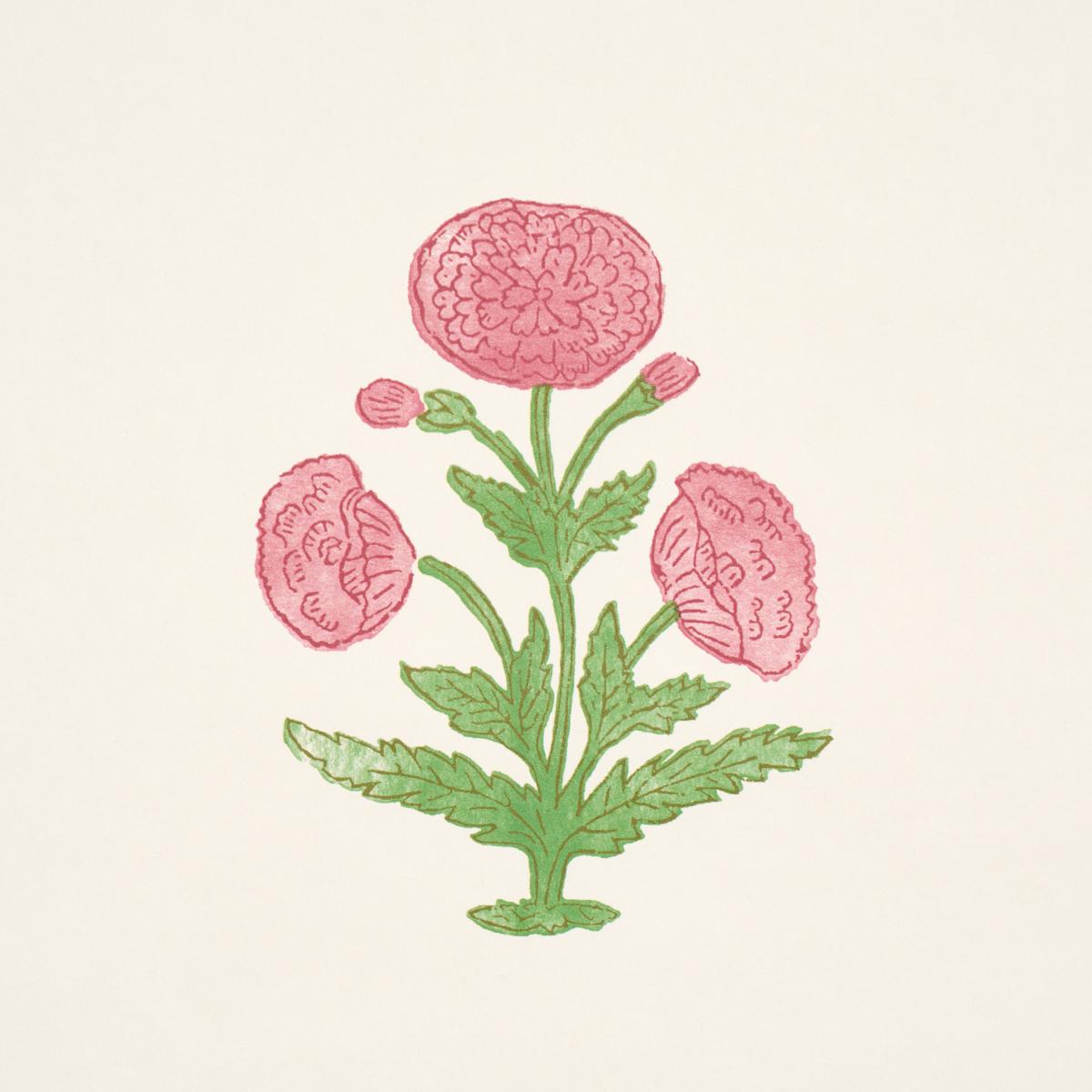 Schumacher Poppy Print Rose & Grass Wallpaper 5017980