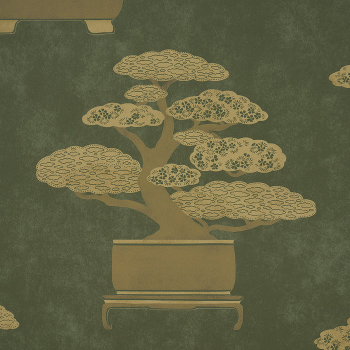 Schumacher Bonsai Tree Olive Wallpaper Sample 5018000