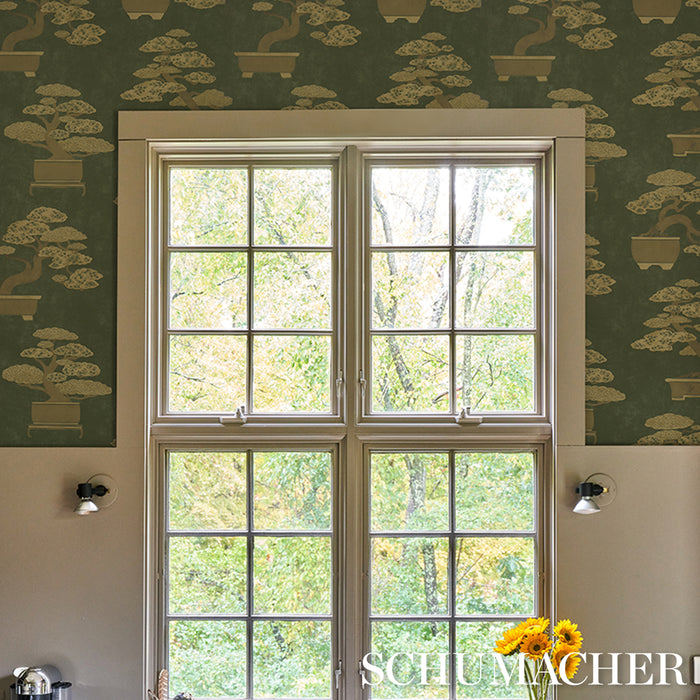 Schumacher Bonsai Tree Olive Wallpaper 5018000